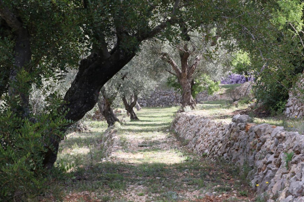 Villa Foia Vella - Adults Only Benigembla Buitenkant foto