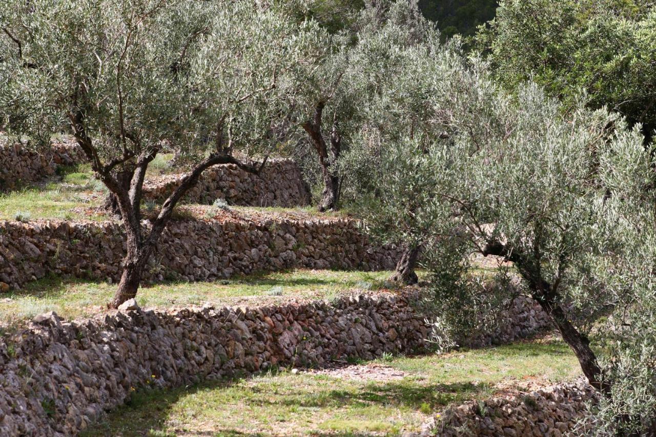 Villa Foia Vella - Adults Only Benigembla Buitenkant foto